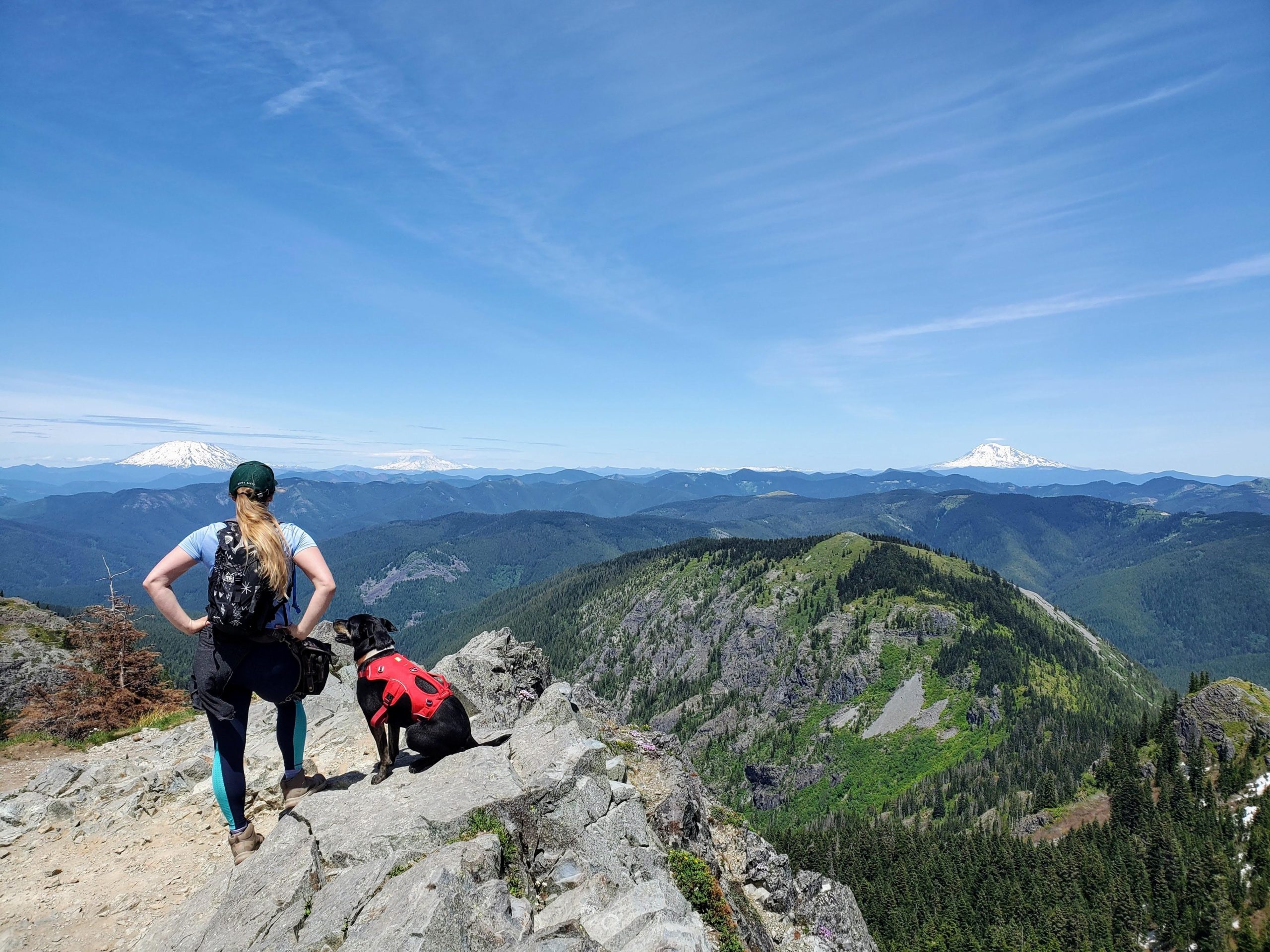 are dogs allowed on the pacific crest trail