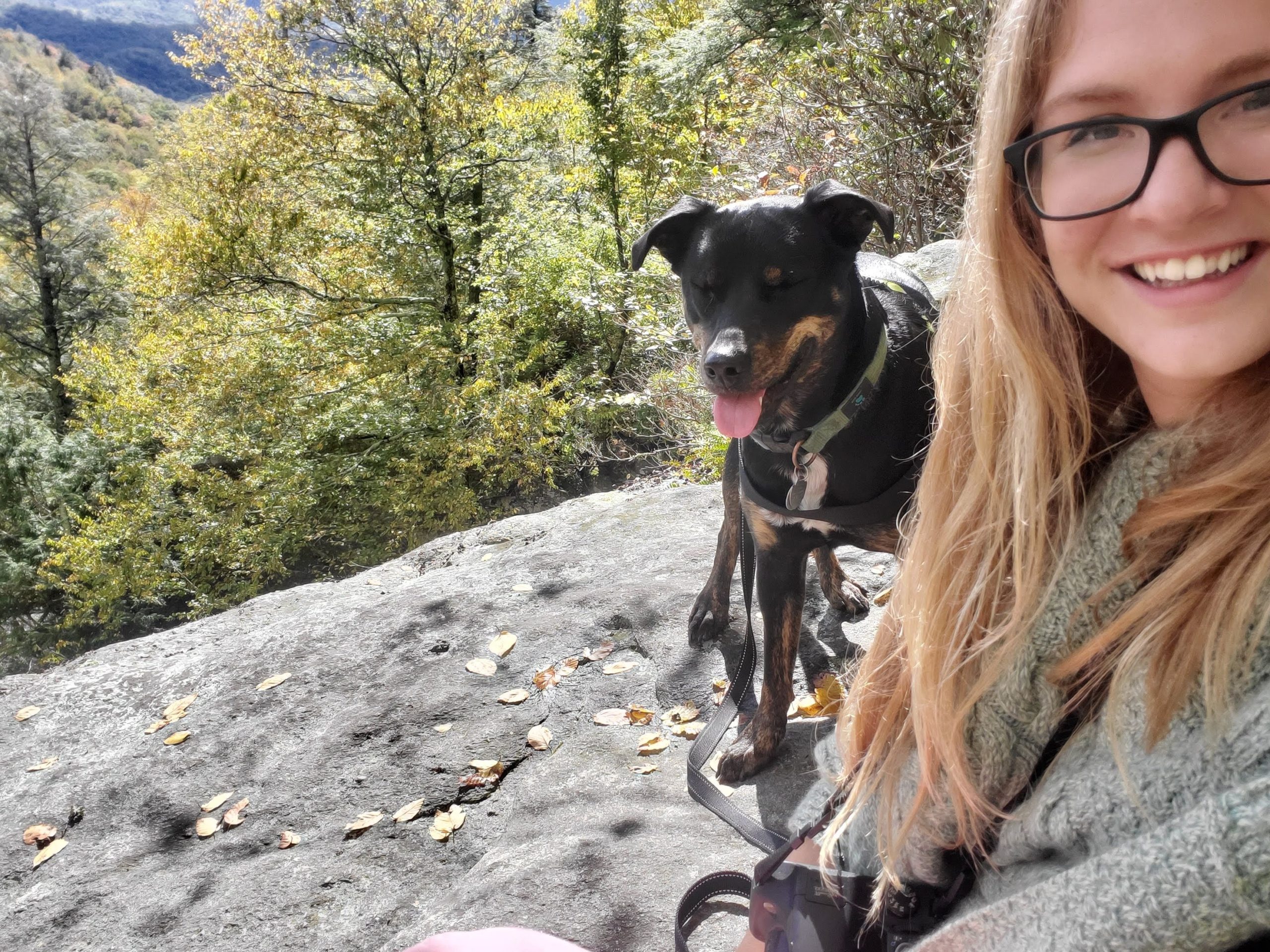 Hiking the pct shop with a dog